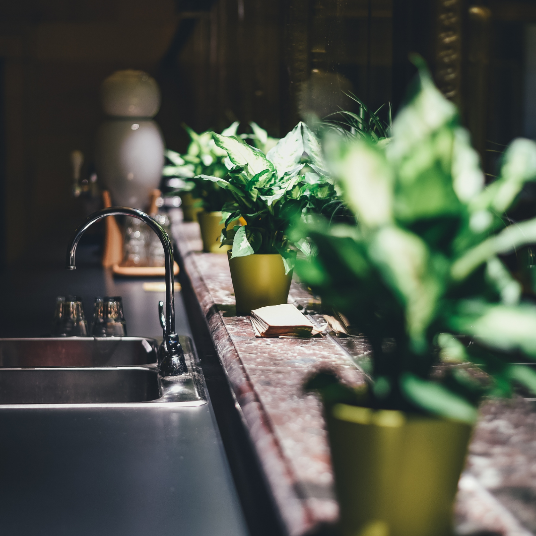 install plants