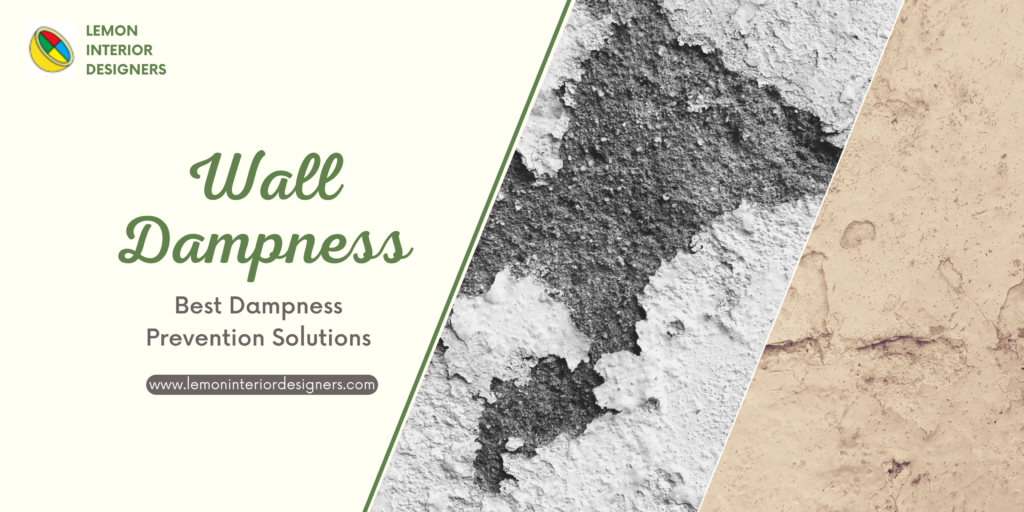 Wall dampness causes and solutions 