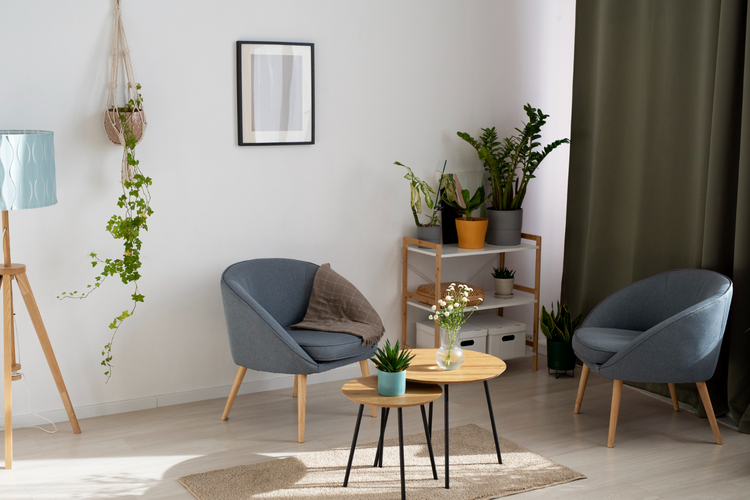 plants in interior designing