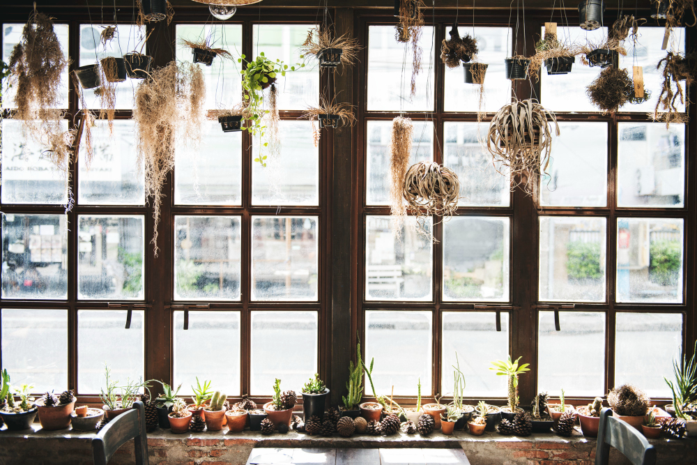 Hang-Plants-From-a-Branch