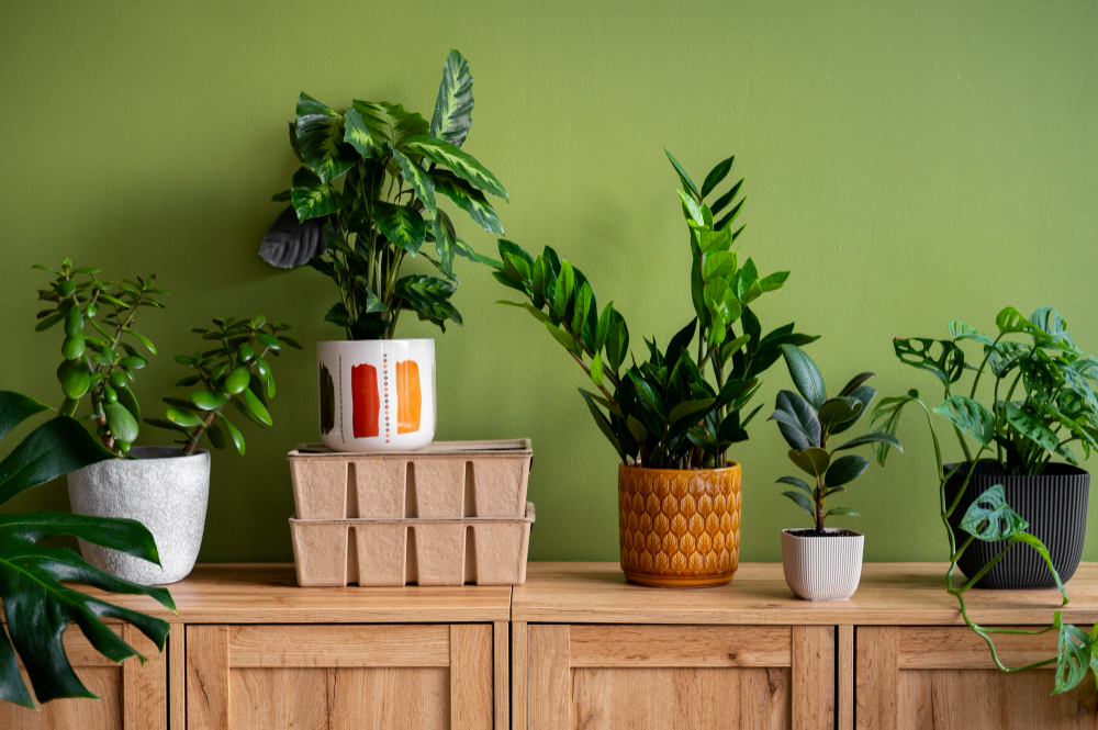 Add-a-Bit-of-Greenery